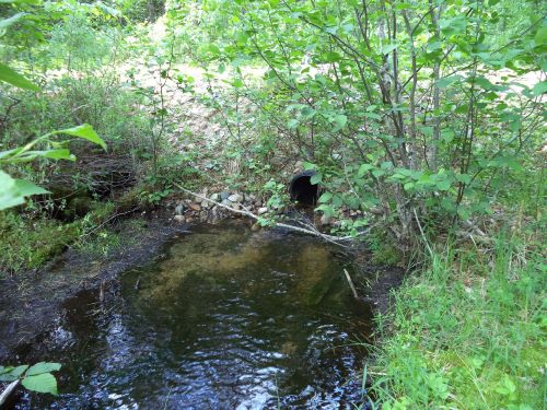 Road and culvert to be removed from stream and wetland