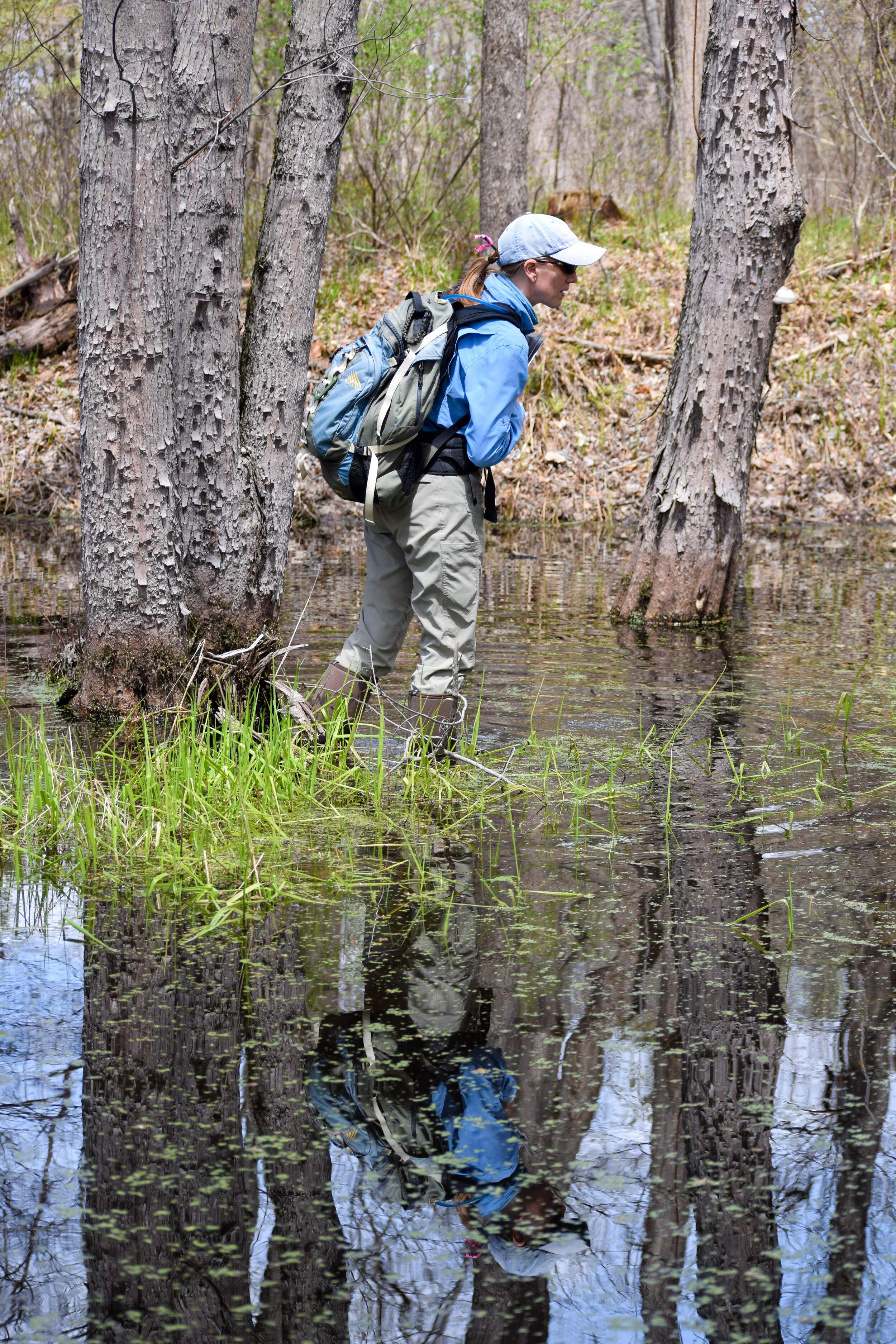 Woman surveys a vernal pool